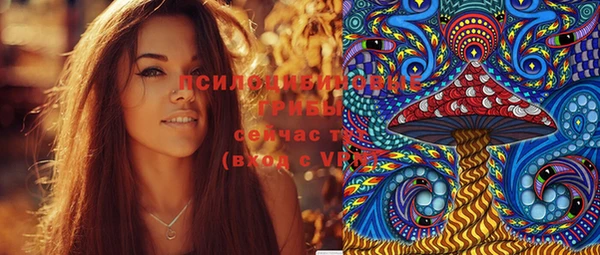 прущая мука Дмитриев