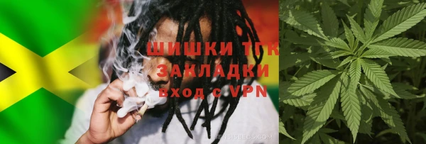 прущая мука Дмитриев