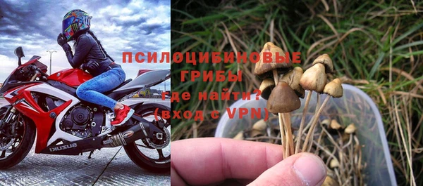 кристаллы Гусь-Хрустальный