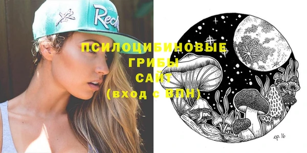 прущая мука Дмитриев