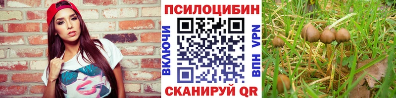Галлюциногенные грибы мухоморы Купить Кулебаки